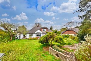 Photo 23- click for photo gallery